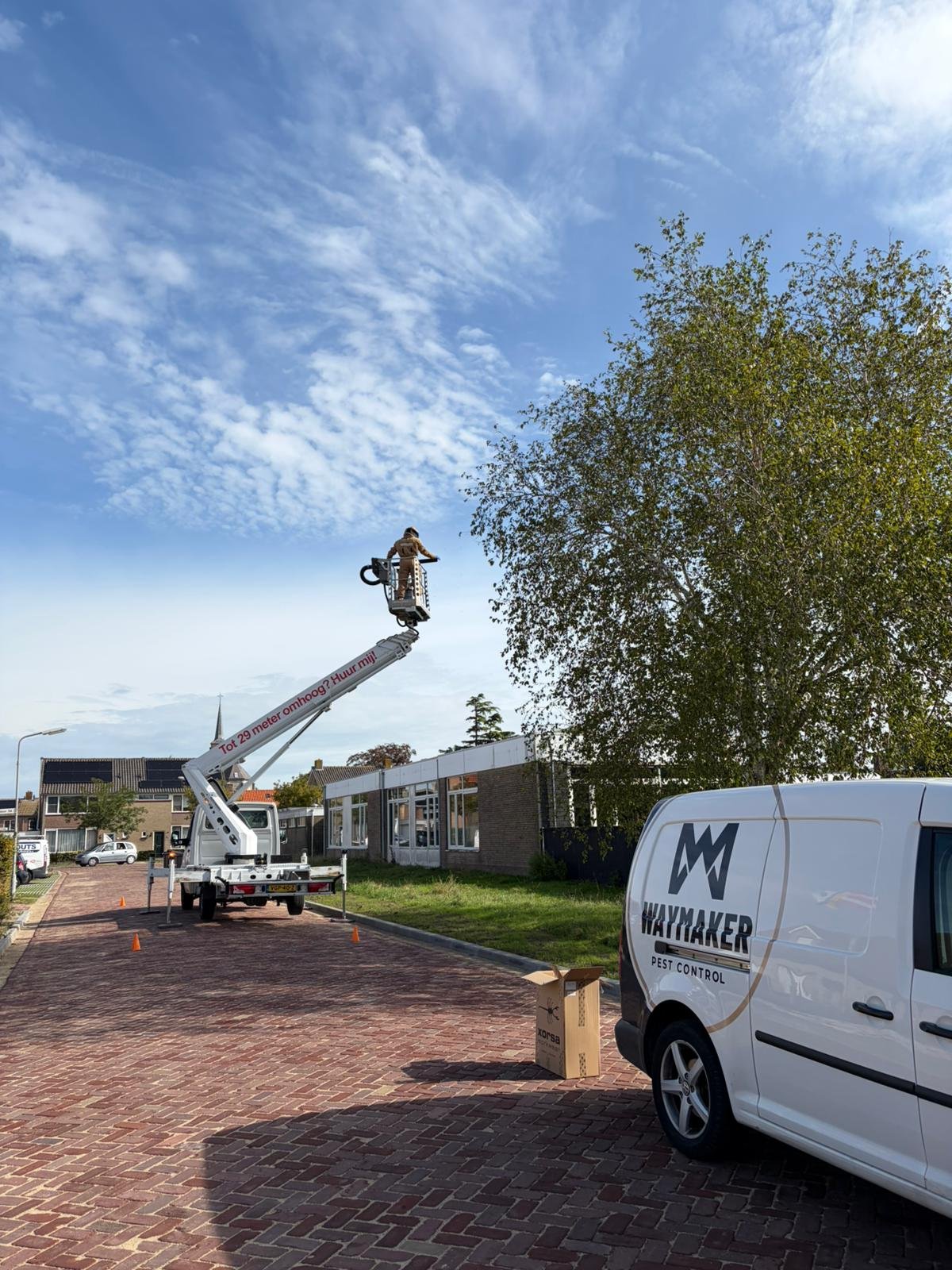 WayMaker specialist in bedwantsen en Aziatische hoornaar bestrijding