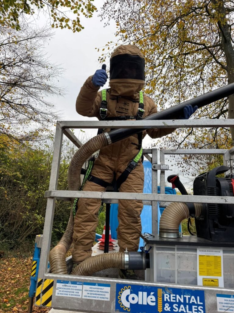 Hoornaarsnest hoog in een boom